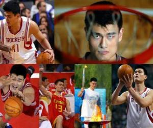 пазл Яо Мин уходит из профессионального баскетбола (2011)